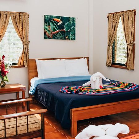 Mariposa Jungle Lodge Сан-Игнасио Номер фото