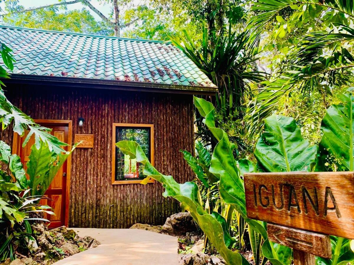 Mariposa Jungle Lodge Сан-Игнасио Экстерьер фото