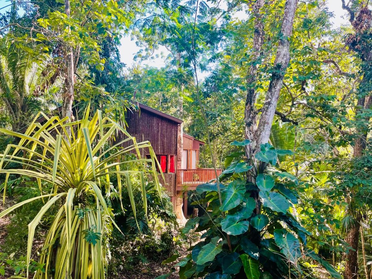 Mariposa Jungle Lodge Сан-Игнасио Экстерьер фото