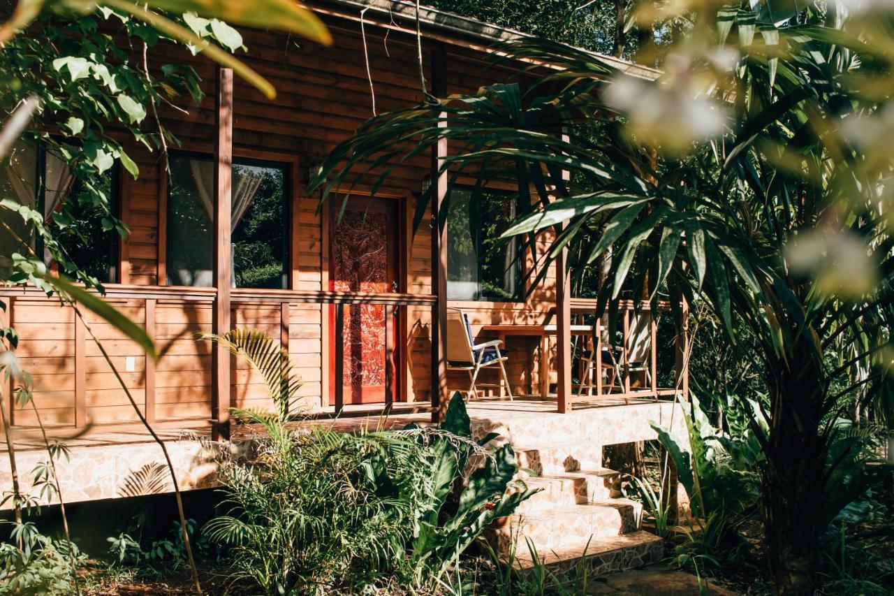 Mariposa Jungle Lodge Сан-Игнасио Экстерьер фото