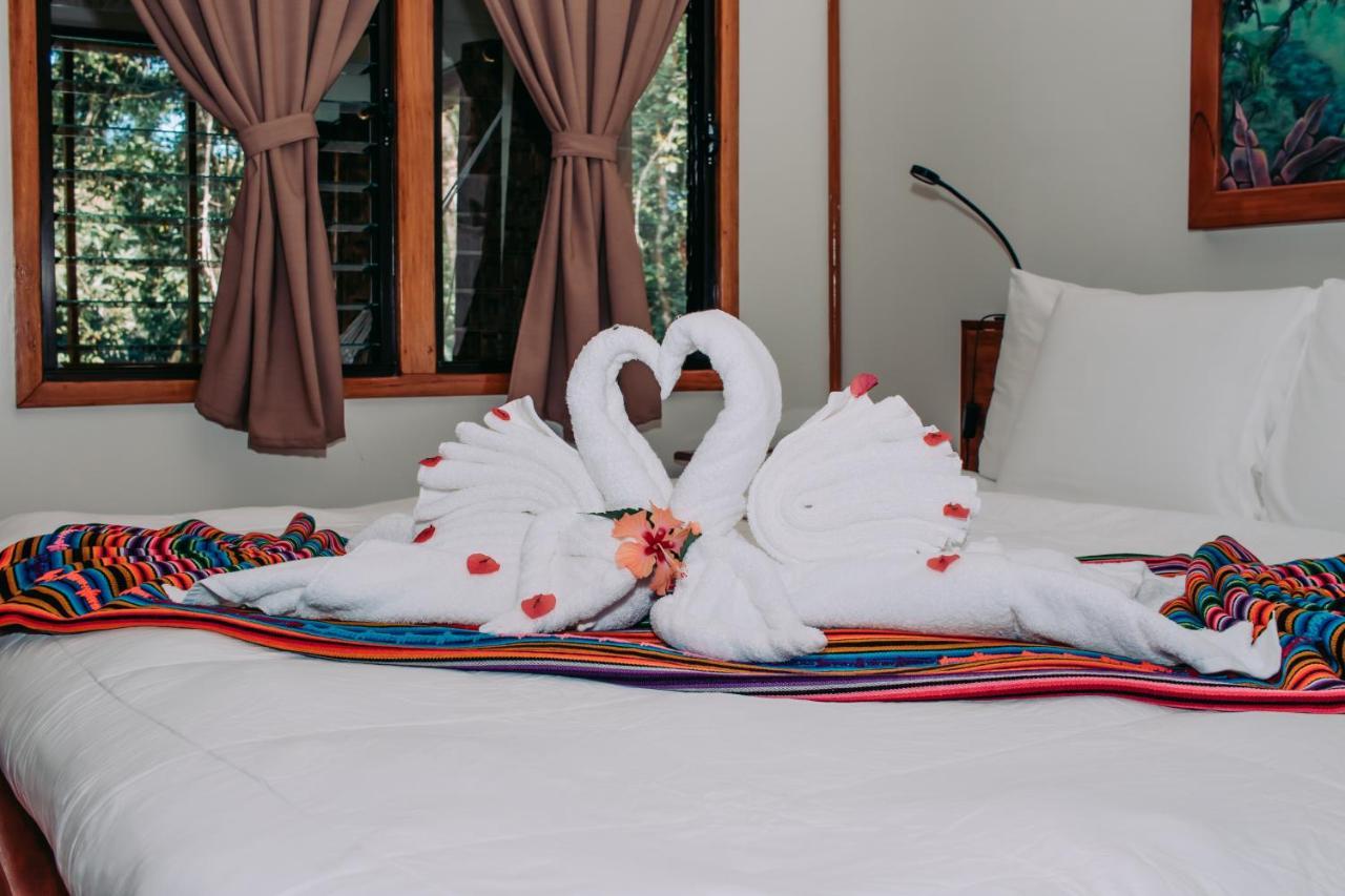 Mariposa Jungle Lodge Сан-Игнасио Экстерьер фото