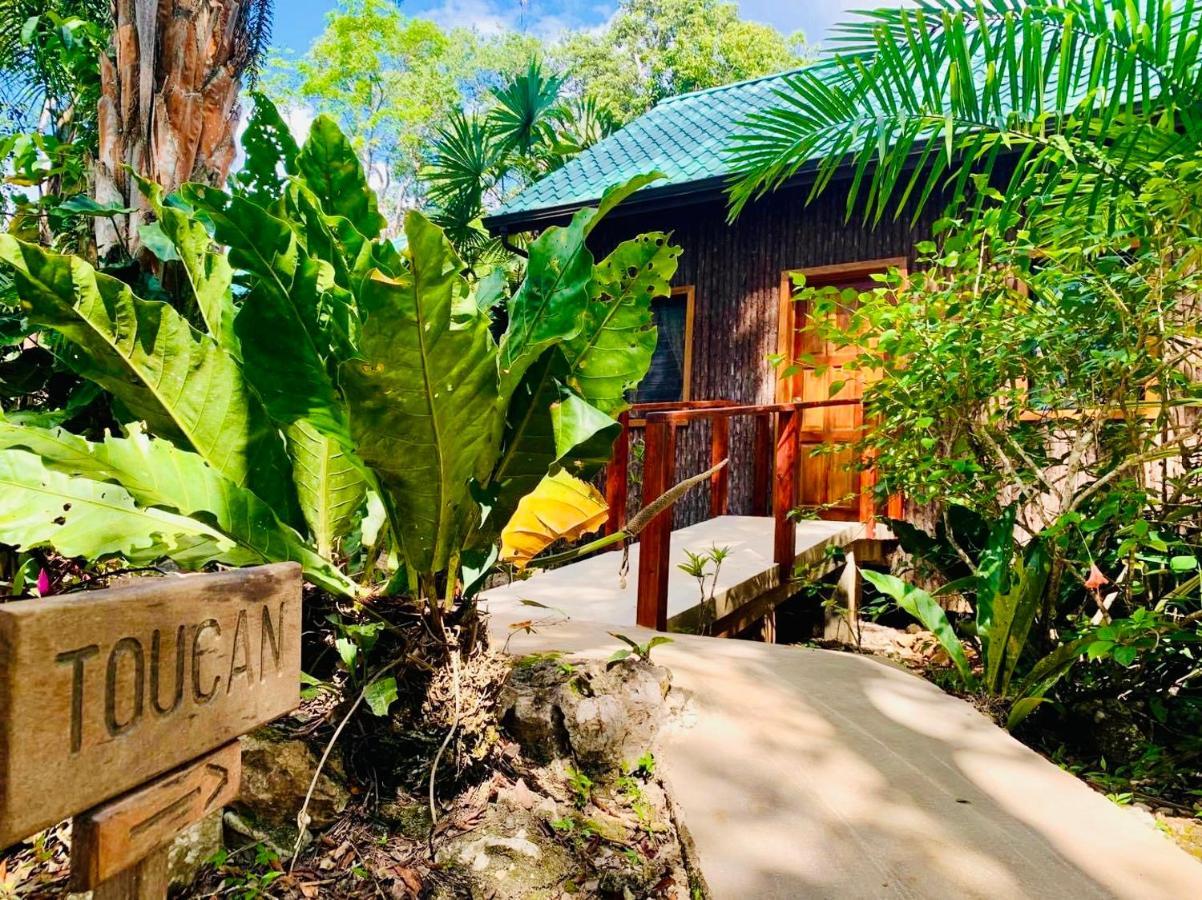 Mariposa Jungle Lodge Сан-Игнасио Экстерьер фото