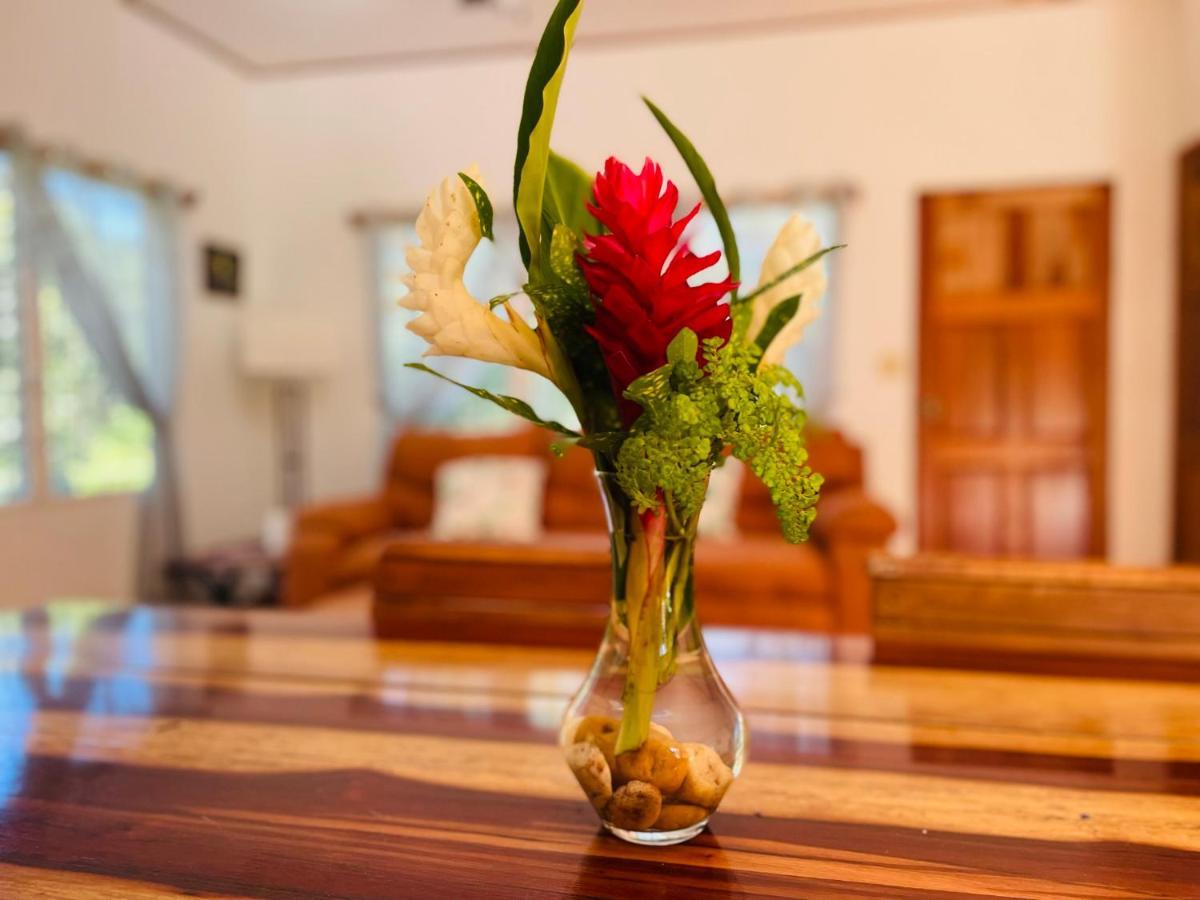 Mariposa Jungle Lodge Сан-Игнасио Экстерьер фото