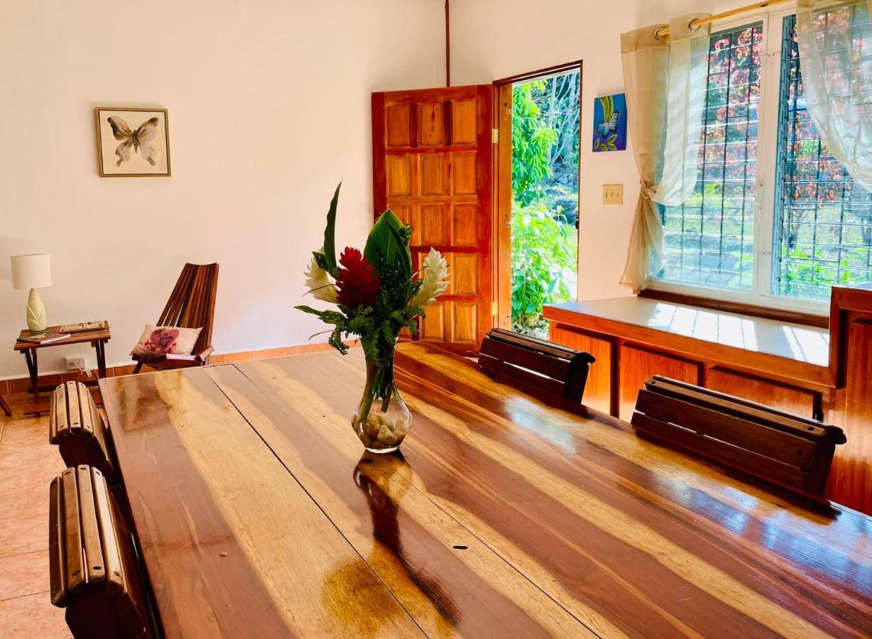 Mariposa Jungle Lodge Сан-Игнасио Экстерьер фото
