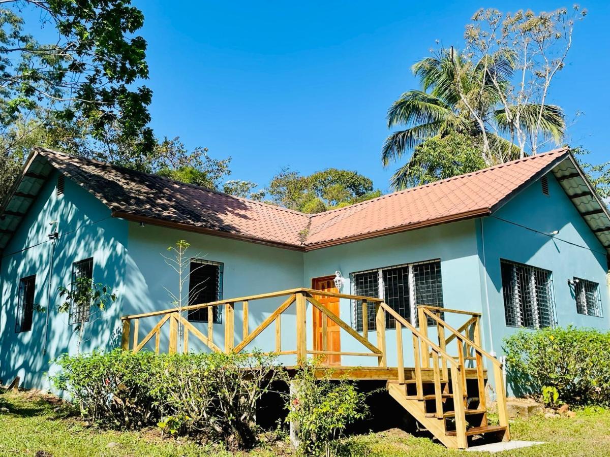 Mariposa Jungle Lodge Сан-Игнасио Экстерьер фото