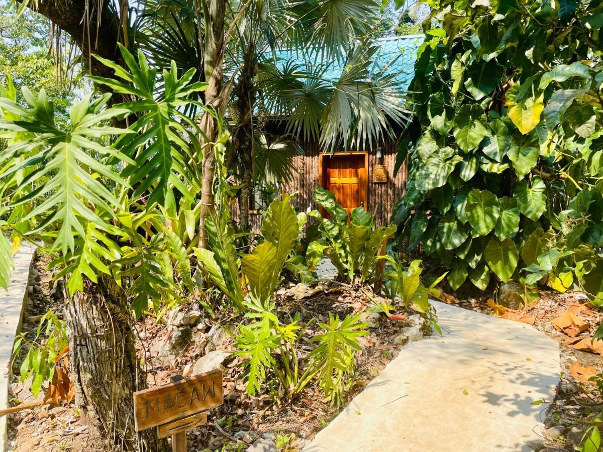 Mariposa Jungle Lodge Сан-Игнасио Экстерьер фото