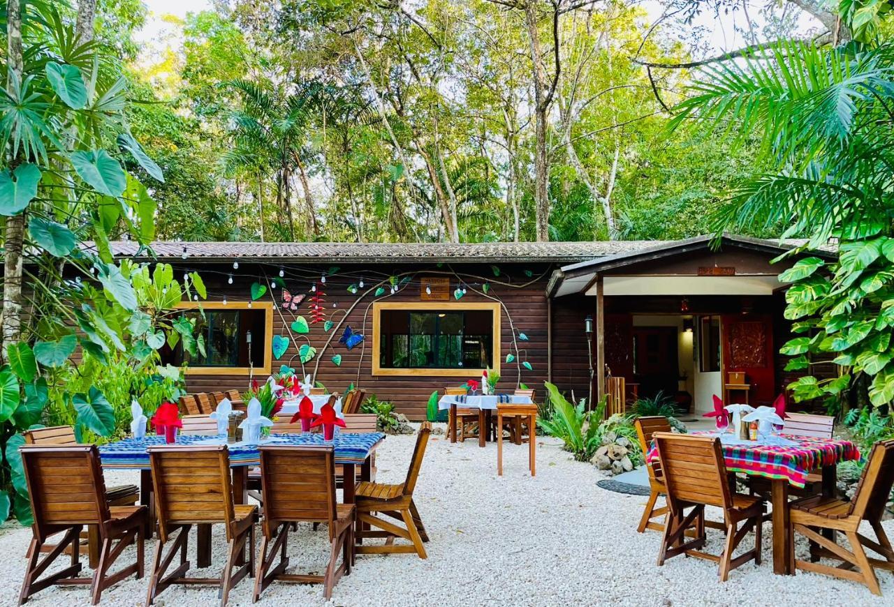 Mariposa Jungle Lodge Сан-Игнасио Экстерьер фото