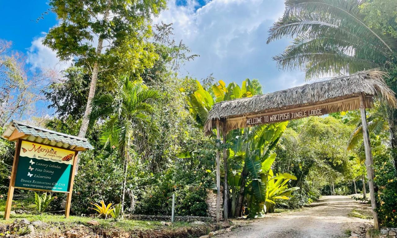 Mariposa Jungle Lodge Сан-Игнасио Экстерьер фото