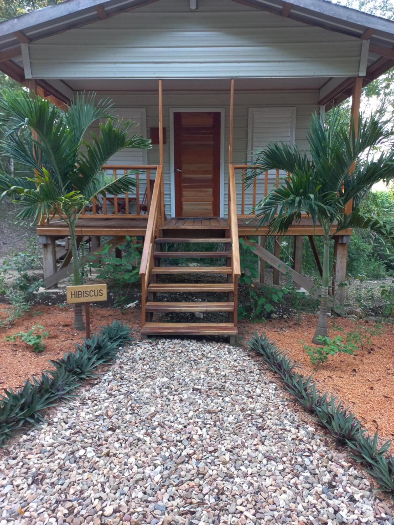 Mariposa Jungle Lodge Сан-Игнасио Экстерьер фото